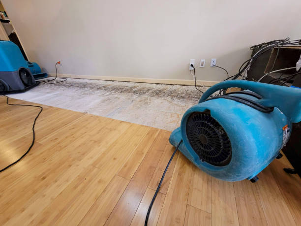 Professional Burst Pipe Water Damage technician working in Waddell, AZ